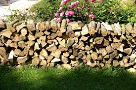 Sichtschutz hat immer mindestens zwei gute seiten, denn er wahrt die. Brennholz Stapeln Richtig Lagern Und Trocknen