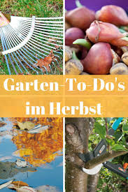 Blumenzwiebeln Pflanzen Laub Rechen Baum Schneiden Und Vieles Mehr Diese 9 To Do S Stehen Im Herbst Im Garten An Blumenzwiebeln Pflanzen Pflanzen Garten