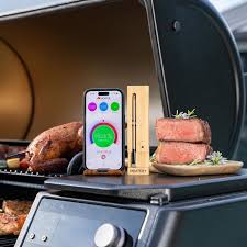 Smart Meat Thermometer