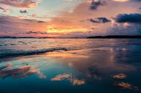 We offer an extraordinary number of hd images that will instantly freshen up your smartphone or computer. 100 000 Best Beach Sunset Photos 100 Free Download Pexels Stock Photos