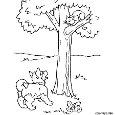 coloriage chiot et chaton dessin chat a imprimer blue&#x00027;s clues reddit