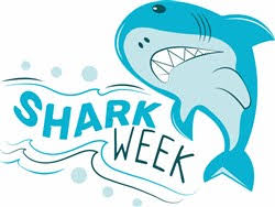 Free Free 68 Shark Week Svg SVG PNG EPS DXF File