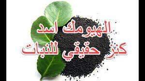 الهيوميك أسيد