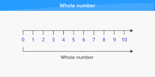 Whole numbers are part of real numbers including all the positive integers and zero, but not the fractions, decimals, or negative numbers. What Are Whole Numbers Definition Facts Example