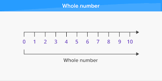 As a digit, 0 is used as a placeholder in place value the babylonian placeholder was not a true zero because it was not used alone. What Are Whole Numbers Definition Facts Example