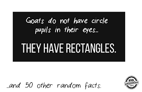 Find some amazing, weird and interesting facts. 50 Random Facts That You Won T Believe Are True