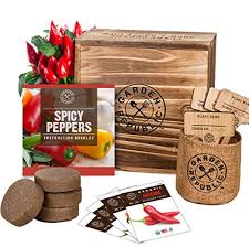 The Best Garden Kits