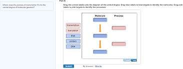 solved a part a drag the correct labels onto the diagram