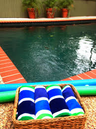 Party Etiquette 8 Festive 4th Of July Pool Party Ideas