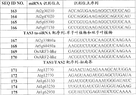 CN101466837A - 生产杂种种子的方法- Google Patents