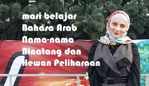 76 contoh kata kerja dalam bahasa arab dan artinya. Asmaul Hayawanati Artinya Nama Nama Hewan Dalam Bahasa Arab Pontren Com