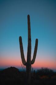 How to plan a grand circle trip. Blog Learn About Our Tucson Real Estate Community Saguaro Ranch