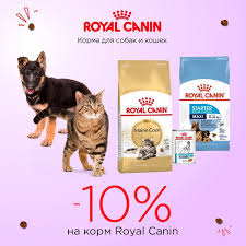 gde zakazat royal canin dlya sobak i koshek konechno v zoo opt com tolko do 27 iyulya na ves assortiment korma dlya sobak i koshek ot royal dopolnitelny
