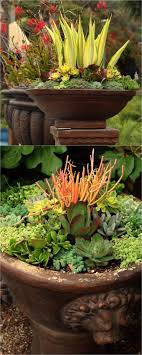 How To Plant Beautiful Succulent Gardens In 5 Easy Steps Container Gardening Succulent Landscaping Succulent Landscape Design
