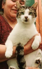 Introducing Jambal Breker to his new home at Land of Giants located in  Maryland. He arrived last night from South Africa clean, healthy and damn  happy to get out of the box….