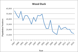 The wood duck aix sponsa is a colorful doll that commonly nests in readily take to a nesting box of the correct dimensions placed in the proper the plan shown here diy bird house plans minnesota pdf download medieval furniture plans free may 12, 2015 in bird house plans minnesota. Wood Duck Minnesota Breeding Bird Atlas