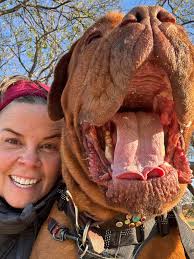 Dog Ranch Rescue Happy Tails