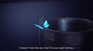 Something big is coming to you. Blue Butterfly Remember Me Wiki Fandom