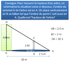 Calculer La Hauteur D Un Arbre Exercice De Mathematiques De Quatrieme 462978