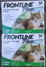 6 Doses Genuine Frontline Plus For Cats 6 Month Supply Cat Flea Tick Remedy Frontline Doses Cat Mama Pet Ame Kedi Evcil Hayvan Urunleri Evcil Hayvanlar