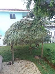 Maybe you would like to learn more about one of these? Tiki Hut Builder In Miami Fl Commercial Residential Call Us
