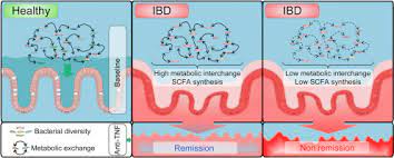 Metabolic Functions Of Gut Microbes Associate With Efficacy Of Tumor Necrosis Factor Antagonists In Patients With Inflammatory Bowel Diseases Gastroenterology