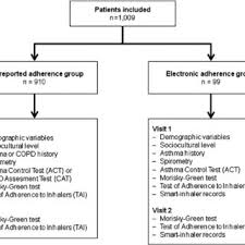 Flow Chart Of The Study Design And Procedures Download