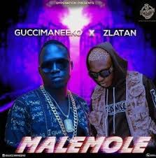 Music Guccimaneeko Ft Zlatan Malemole Music Music Blog African Music