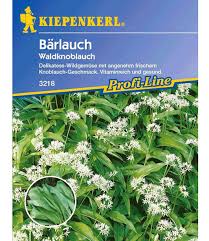 Bärlauch ist in deutschland nicht geschützt, gilt in einzelnen bundesländern jedoch als ausgesprochen selten. Barlauch Kiepenkerl Bei Baldur Garten