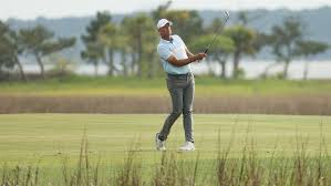 Stewart cink confirms he is taking a break from golf after his wife was diagnosed with breast cancer golfer stewart cink has decided to take time off to care for his wife lisa cink, who won the open championship in 2009, announced the news on twitter stewart cink has announced he is taking a break from golf following his wife lisa's diagnosis. 3kdwuk2rpamzem
