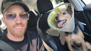 Hello la team 😀 Voici ma chienne havana, malheureusement