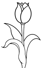 Tulpe Gedichte