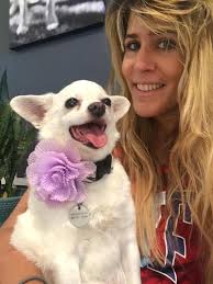 dog meets movie characters