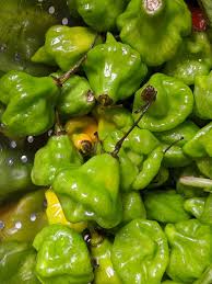 It may possibly be found in latin grocery stores, or substitute with cilantro. Am What I Eat Puerto Rican Sofrito Am What I Eat Puerto Rican Sofrito