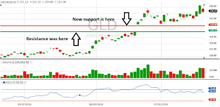 What Is Going To Be Next For Gold Details Etf Daily News