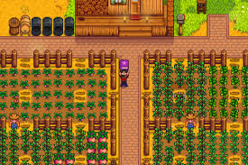 Stardew Valley: Where To Find All The Artifacts
