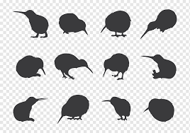 New zealanders have been called 'kiwis' since the nickname was bestowed by australian soldiers in the first world war. New Zealand Kiwis Silhouette Drawing Kiwi Bird Watercolor Painting Animals Galliformes Png Pngwing