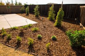 Some may find that their xeriscape garden is more of a flower and herb garden, or grassland. Xeriscape Landscaping Themes