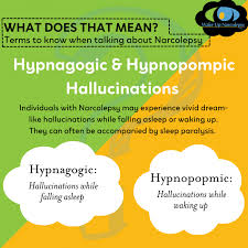 Image result for Narcolepsy