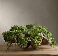 We did not find results for: Pin On Plant And Mineral Displays