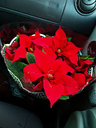 Oricat de mare ar fi gradul de misoginism al vremii, aceste personaje feminine, sta drept dovada, ca femeia a avut un rol extrem de important in literatura. Text Argumentativ Despre Conditia Femeii In Literatura Brainly Ro