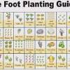 Since the space in a 4 x 8 raised bed garden is limited, there are some. 1