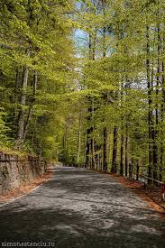 Top 20 locuri de vizitat in sinaia. 5 Locuri De Vizitat In Sinaia Simona Stanciu Fotograf