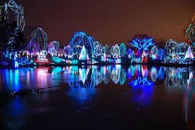 Columbus Zoo Lights Pretty Columbus Zoo Columbus Ohio Zoo Christmas Lights