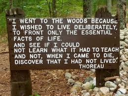 Thoreau Thoreau Quotes Life Facts How To Memorize Things