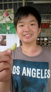 Malaysian Meanders: Have you tried Fresh Nutmeg?