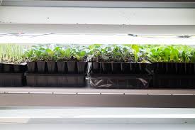 Until now i haven't used a heat mat yet. How To Make Your Own Diy Seed Grow Light Stand Brooklyn Farm Girl