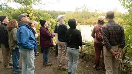 Trailside Resonance: Listening to Nature
