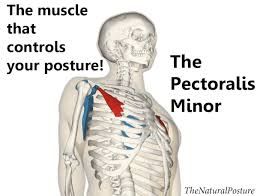 Pin On Beauty And Fit Ness