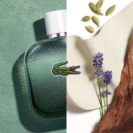 Nước Hoa Nam Lacoste L.12.12 Blanc Eau Intense EDT 100ml | Vua Hàng Hiệu